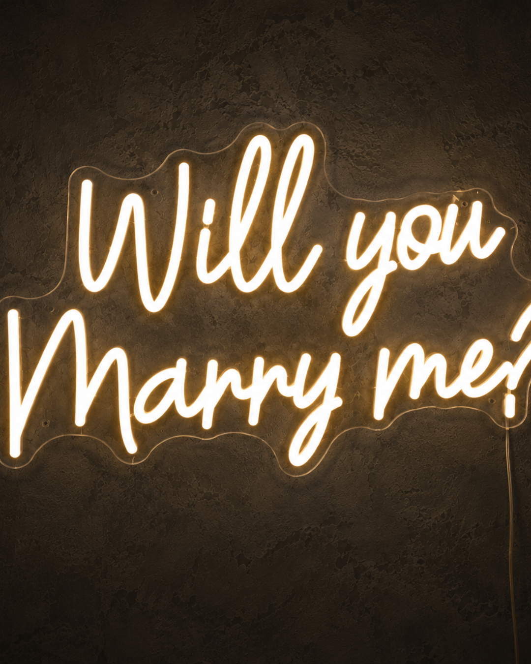 “Will You Marry Me?” Neon Sign to Hire